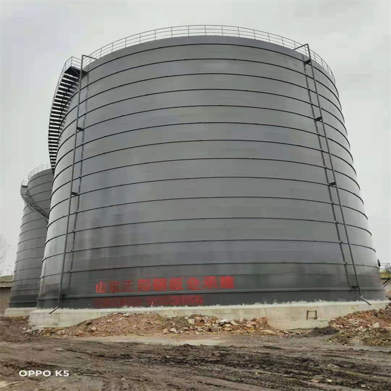 东风3万吨大型钢板库